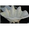 Image 1 : Sea Shell Table Top Decor, 20"x12"x12"