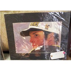 Bret Favre Poster 20" x 16"