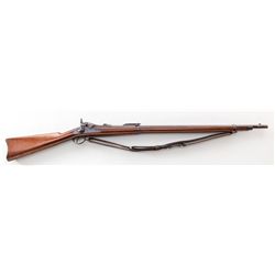 Springfield Model 1884 Trapdoor Rifle