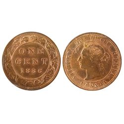 1886 1¢ Obv 2 ICCS MS65RD.  90% red.  Well struck with exceptional surfaces and clean fields.  The b