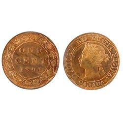 1891 1¢ SL SD Obv 3 ICCS MS65RD.  Well struck with exceptional surfaces and clean fields.  The coin 