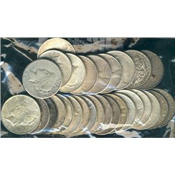 USA 1886 $1, 1896, 1898, 1900, 1901, 1922(10), 1923(8), 1924(4) & 1926.  Lot of 24 Silver dollars VG