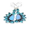 Image 1 : Fire Opal Earrings