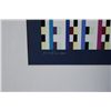 Image 4 : AGAM HAND SIGNED "BEYOND VISIBLE" 1980