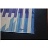 Image 3 : AGAM HAND SIGNED "STAR OF HOPE" 1976