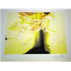 Image 1 : DALI "PEGASUS" LITHOGRAPH - LIMITED EDITION
