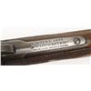 Image 4 : Winchester Mdl 95 Cal .35WCF SN:65916