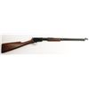 Image 1 : Winchester Mdl 1906 Cal .22S,L,LR SN:556523
