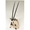 Image 1 : Gemsbok Shoulder Mount