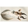 Image 2 : Eland Shoulder Mount