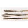 Image 2 : Lot 3 Spears and 5 Wooden Arrows