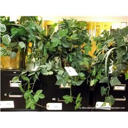 Plant in Woven Basket