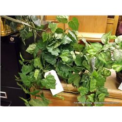 Ivy Plant in Woven Basket