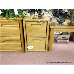 Oak 2 Drawer File Cabinet