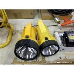 Lot: Flashlights (2x the Money)