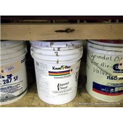 5 Gallon Paint: Liquid Vinyl Satin House Paint
