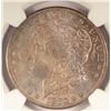 Image 2 : 1880 S MORGAN DOLLAR MS64