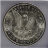 Image 3 : 1892 MORGAN DOLLAR ICG MS 62   WHITE