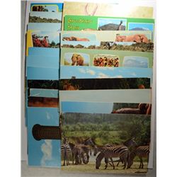 LOT OF VINTAGE POSTCARDS FROM KENYA SHOWING WILDLIFE AND BUILDINGS TOTAL 23 CARD