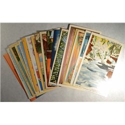 VINTAGE LOT OF 20 COLORIZED POSTCARDS CIRCA 1950'S