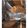 Image 3 : Indian and Panther Bronze Sculpture