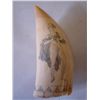 Image 2 : Erotically scrimshawed whales tooth