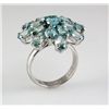 Image 1 : 40.90CTW Flower Blue Zircon Cluster Silver Ring