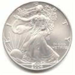 Uncirculated Silver Eagle 2004-2000