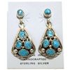 Image 1 : Navajo Turquoise Sterling Silver Curved Post Earrings - Melvin Chee