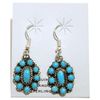 Image 1 : Navajo Turquoise Cluster Sterling Silver Small French Hook Earrings - Lisa Williams