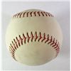 Image 2 : MLB Reach Official American League Baseball