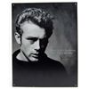 Image 1 : 5877 - JAMES DEAN TIN SIGN