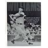 Image 1 : 5881 - TED WILLIAMS BASEBALL TIN SIGN