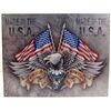 Image 1 : 5891 - MADE IN THE U.S.A TIN SIGN