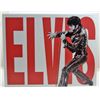 Image 1 : 5918 - ELVIS  IN LEATHER TIN SIGN