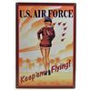 Image 1 : 13382 - US AIR FORCE PIN UP TIN SIGN APPROX 17 X 12
