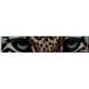 Image 1 : LEOPARD EYES, BY DANA
