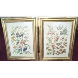 PAIR OF GILT FRAME BOTANICAL SILK SCREEN FINE ART PRINTS