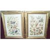 Image 1 : PAIR OF GILT FRAME BOTANICAL SILK SCREEN FINE ART PRINTS