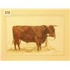 Image 1 : Framed watercolour of a bull by L. Kemp Welch, 9x6" £60 - 80...