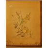 Image 1 : Framed watercolour/ink of flowers by R. Bernard, 13x16" £200 - 300...