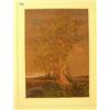 Image 1 : Framed watercolour of tree by lake by S. Palmer, 11x15" £80 - 120...
