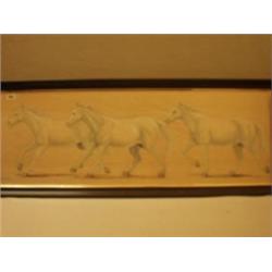 Framed watercolour on silk of white horses by C. F. Tunnicliffe, 42x14" £280 - 320...