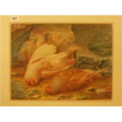 Framed watercolour of dead gamebirds etc. by M. E. Duffield, 16x12" £200 - 300...