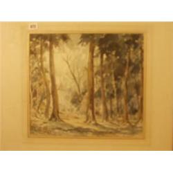 Framed watercolour of woodland scene by Malcolm Fry, 15x14" £50 - 80...