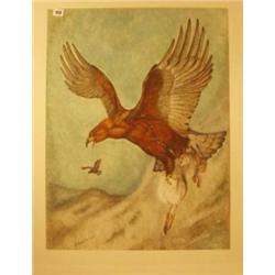Framed watercolour of eagle with rabbit by Ernest Grizet, 22x28" £200 - 300...