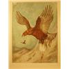 Image 1 : Framed watercolour of eagle with rabbit by Ernest Grizet, 22x28" £200 - 300...
