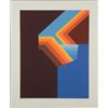 Image 1 : Doug Danz Signed Abstract River Proof Print Elevation I