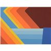 Image 2 : Doug Danz Signed Abstract River Proof Print Elevation I