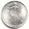 Uncirculated Silver Eagle 1993